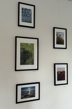 IMG_7780