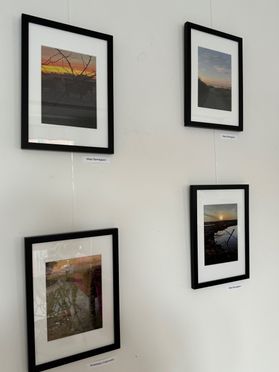 IMG_7781