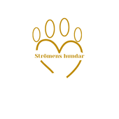 Strömens Hundar