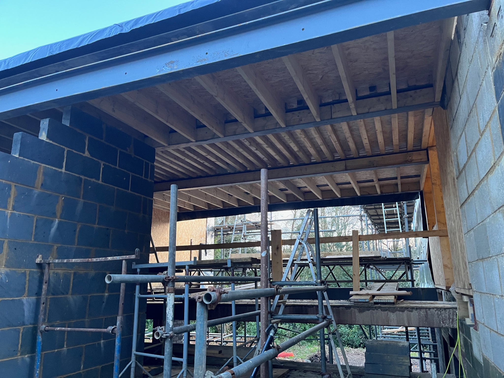 Joists below the meadow roof
