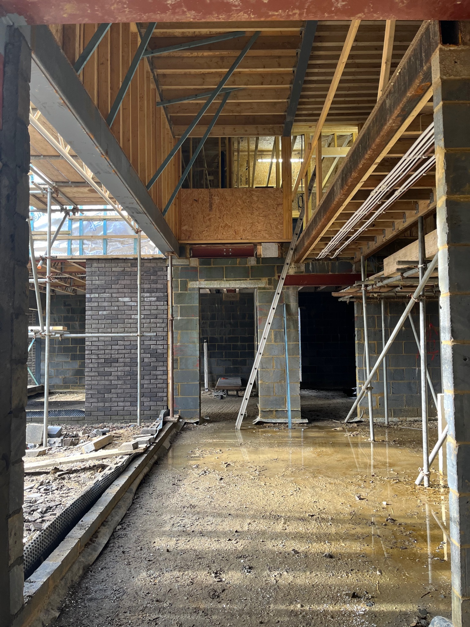 Double height atrium with bridge link over