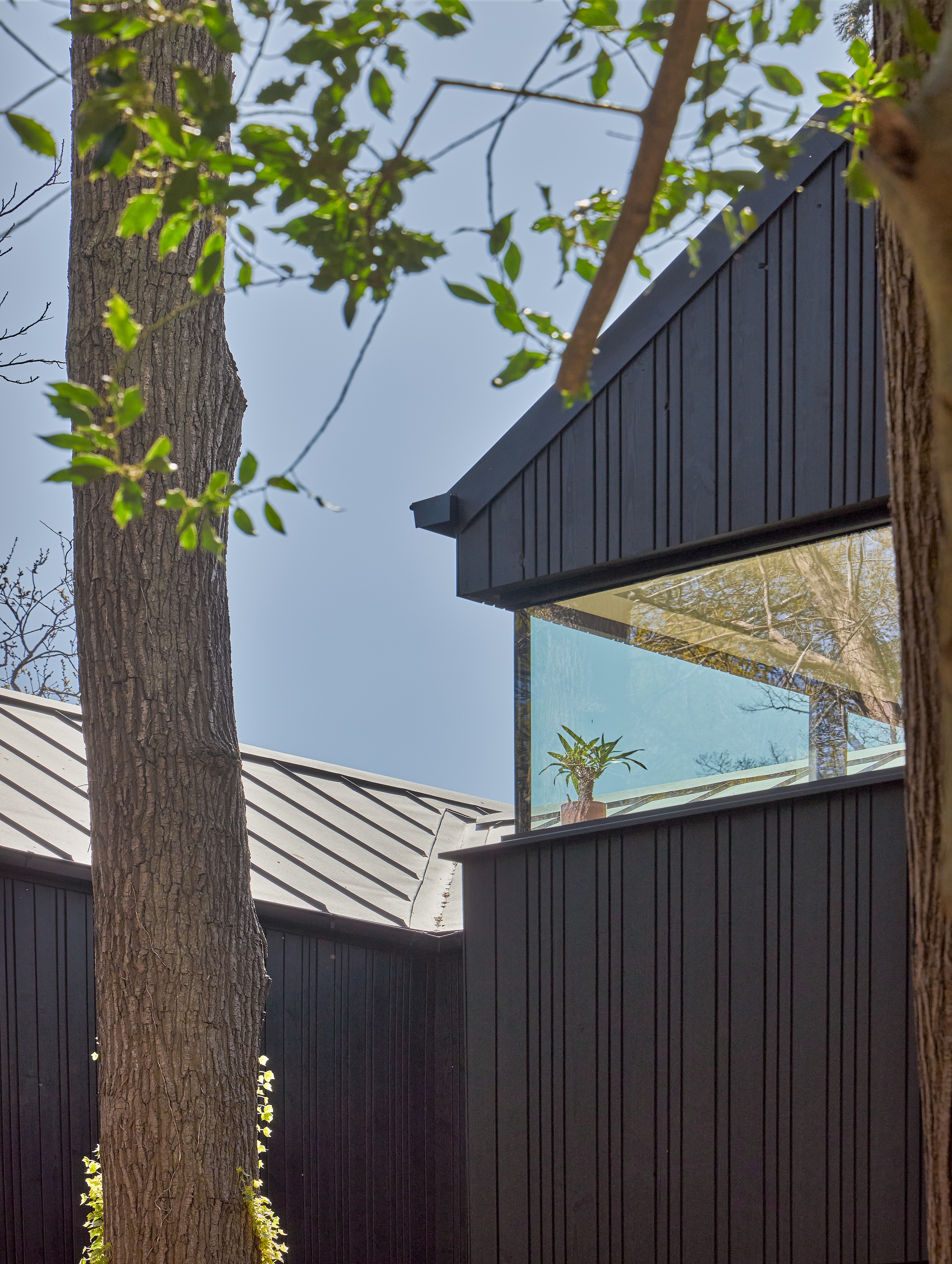 Woodland House-20