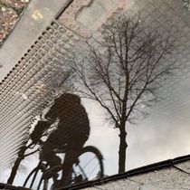 reflections 31