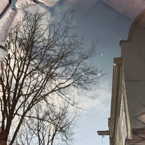 reflections 33