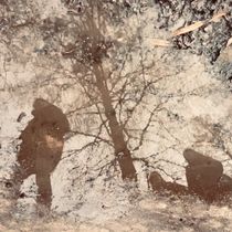 reflections 02