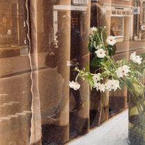 reflections 21