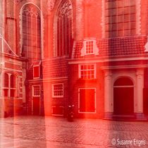 reflections 08