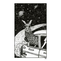 Galactic Llama