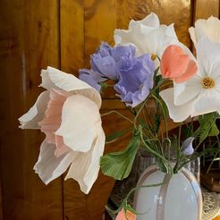 Pappersblommor