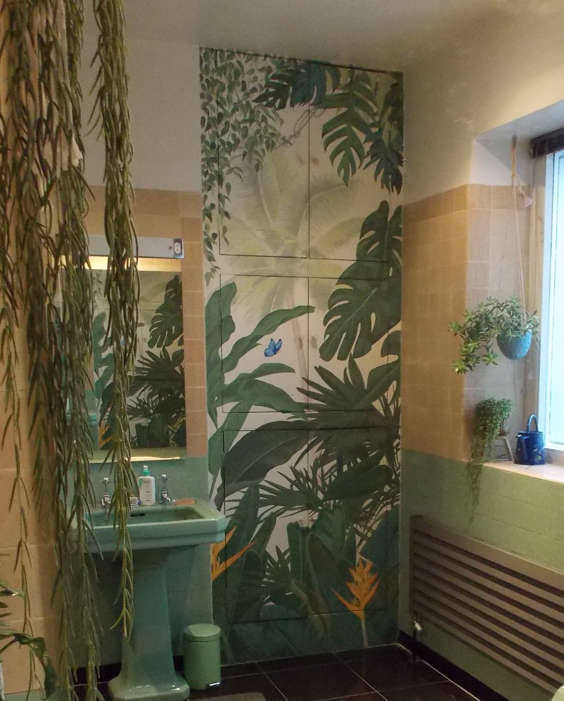 cheese plant leafy tropical plant mural