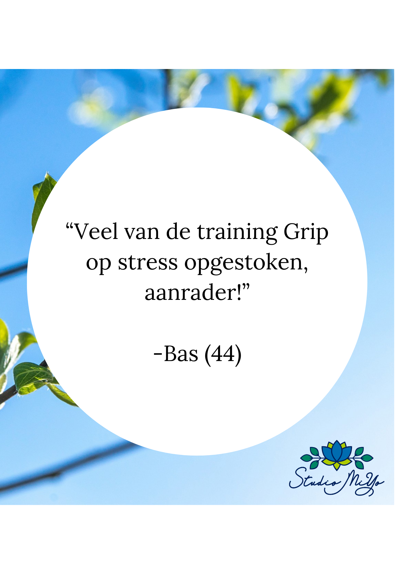 Review Bas