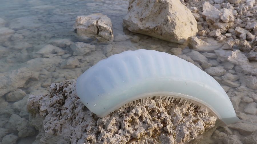Intertidal Synthesis, Studio ThinkingHand, 2019