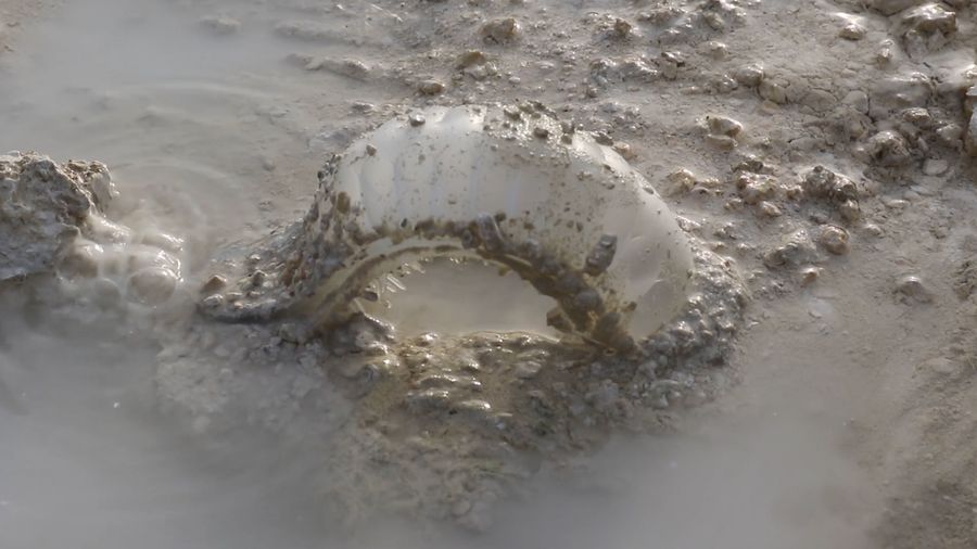 Intertidal Synthesis, Studio ThinkingHand, 2019