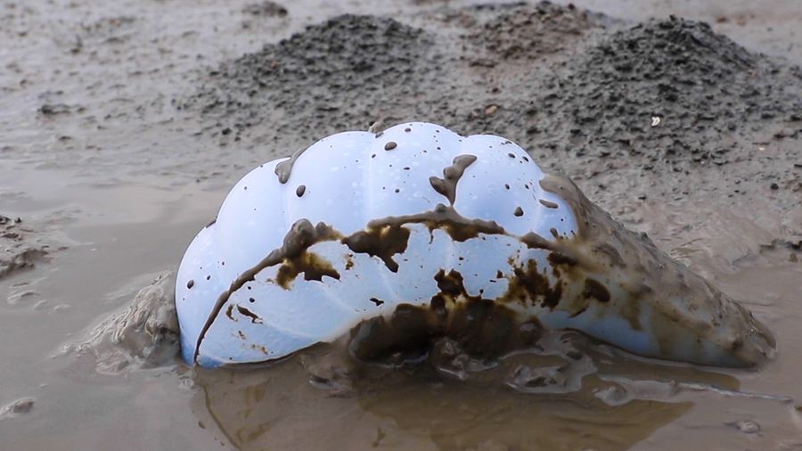 Intertidal Synthesis, Studio ThinkingHand, 2019