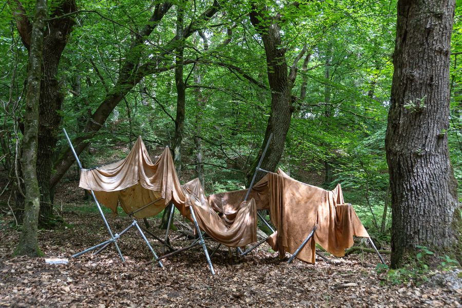 Foreign Forest, 2021