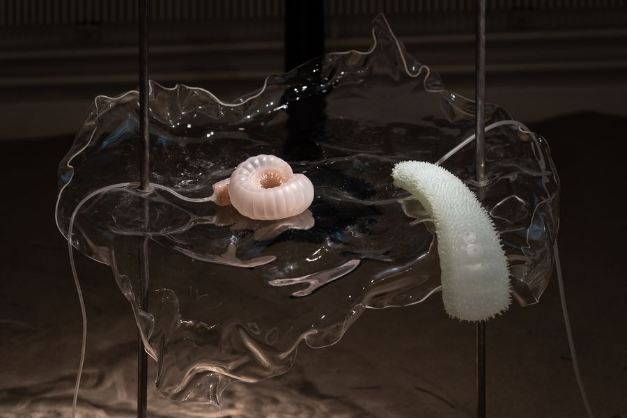 Entangled Encounters, 2020, Photo: David Stjernholm
