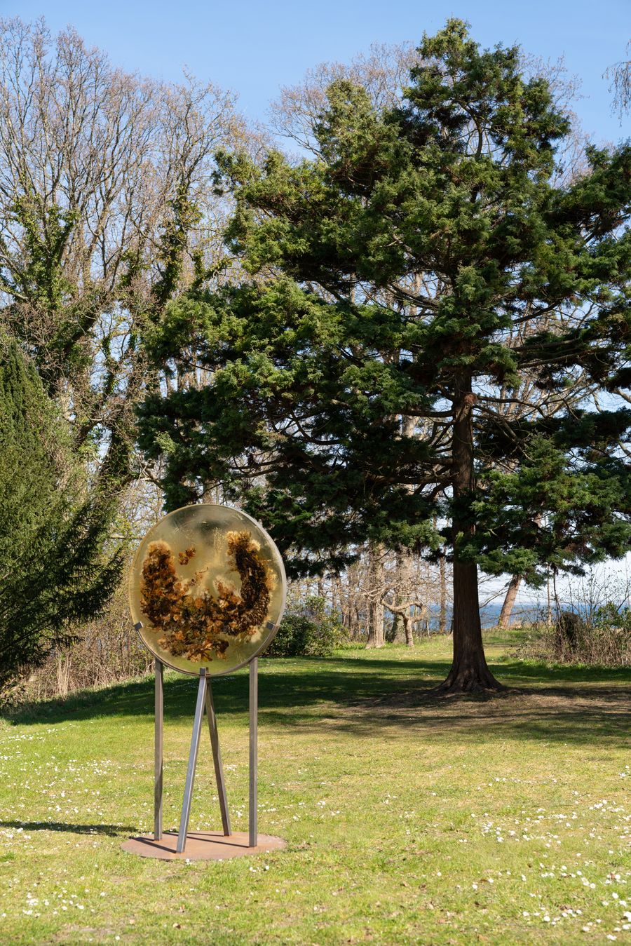 Entangled Encounters, 2020, Photo: David Stjernholm