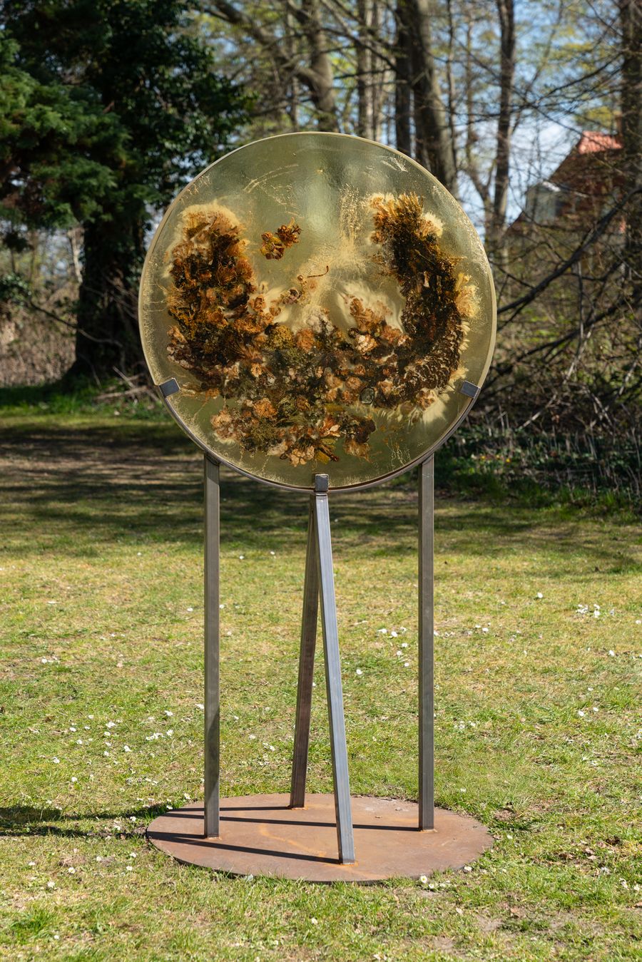 Entangled Encounters, 2020, Photo: David Stjernholm