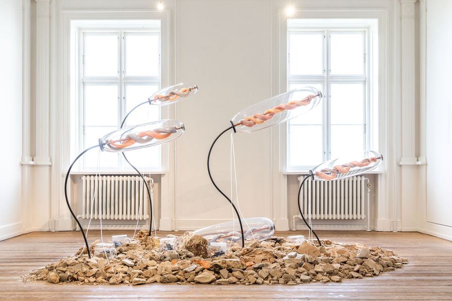 EVOLUTIONS, 2023, Photo: Kasper Palsnov