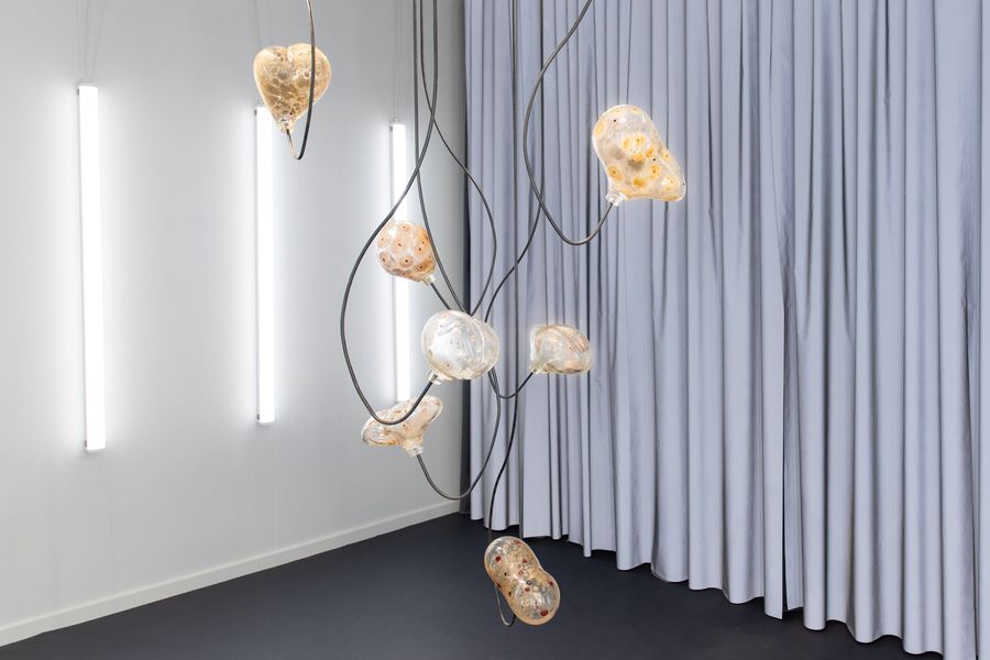 EVOLUTIONS, 2023, Photo: Kasper Palsnov