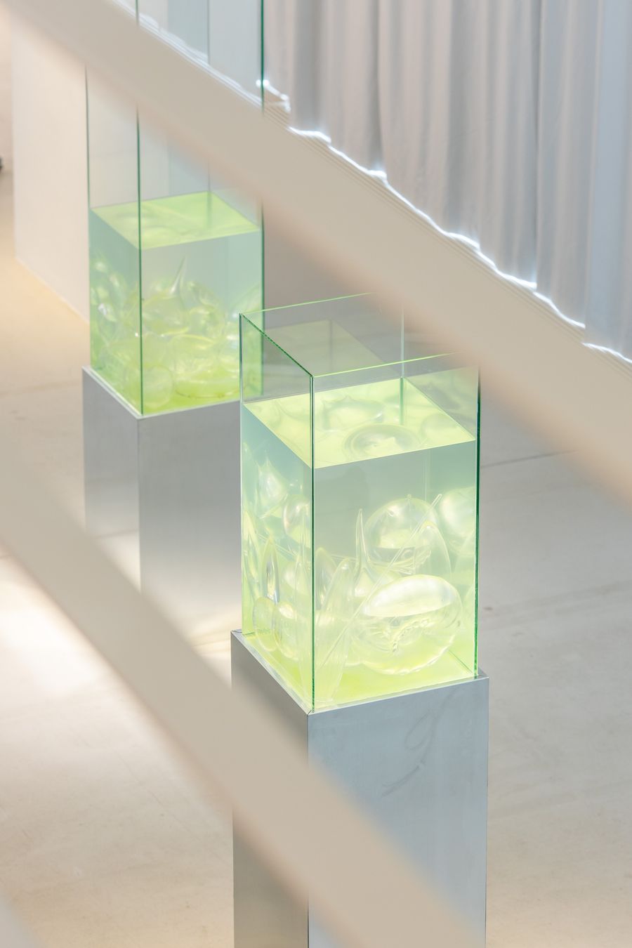 EVOLUTIONS, 2023, Photo: Kasper Palsnov