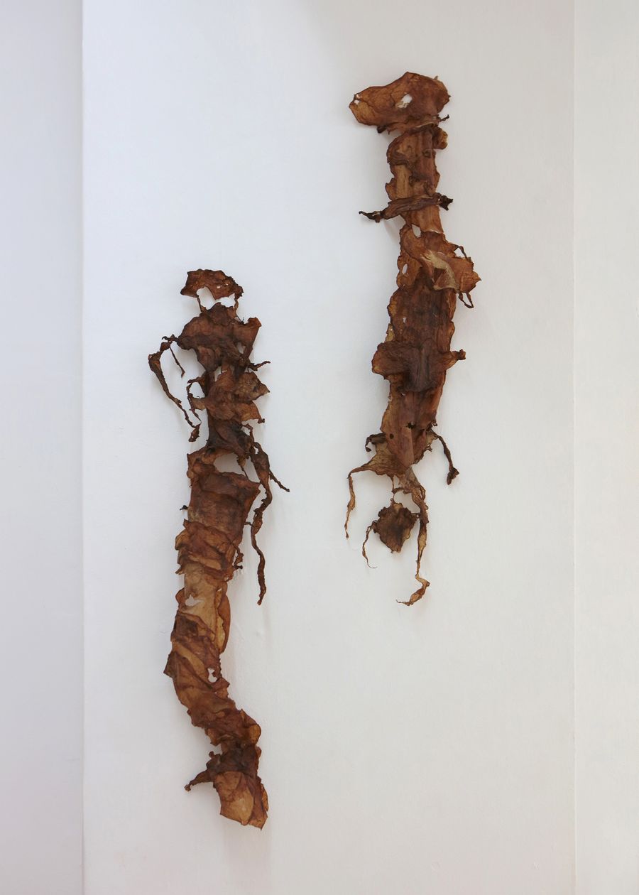 Fugue, 2019