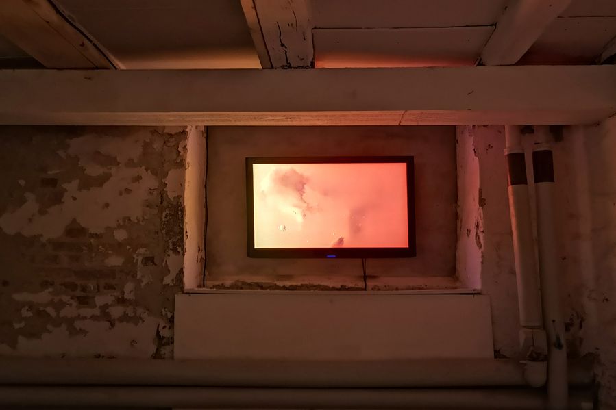 Fugue, 2019