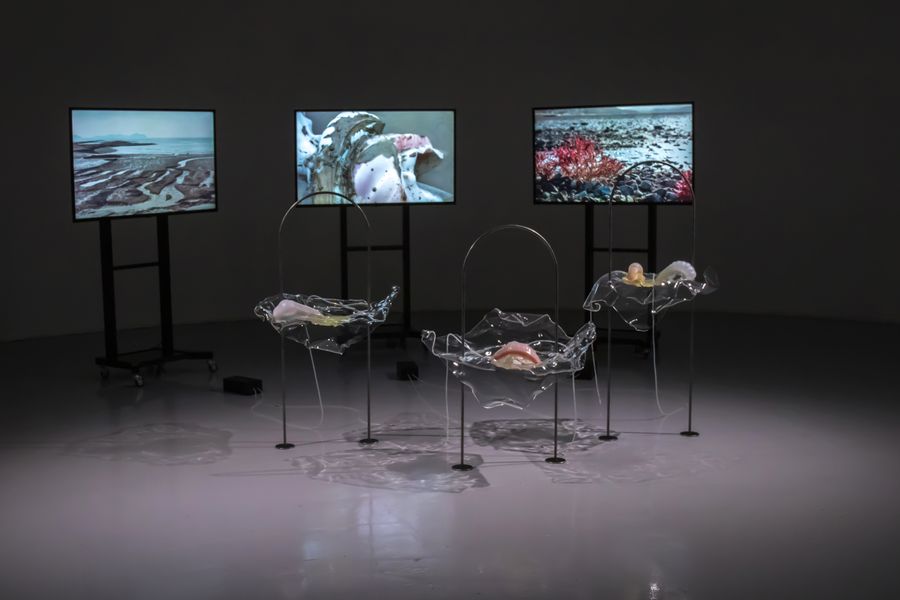 Studio ThinkingHand, Intertidal Synthesis, 2019