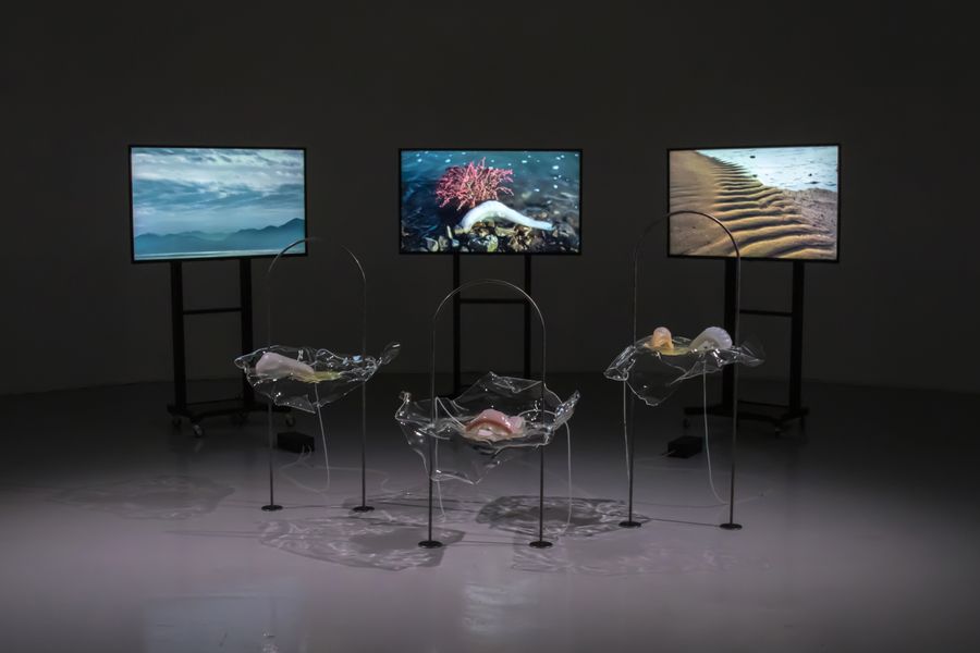 Studio ThinkingHand, Intertidal Synthesis, 2019
