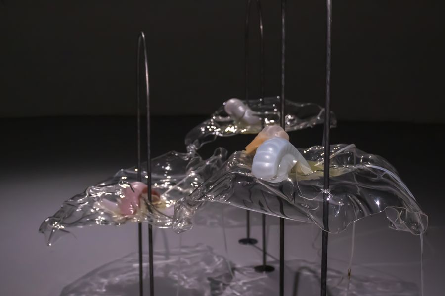 Studio ThinkingHand, Intertidal Synthesis, 2019