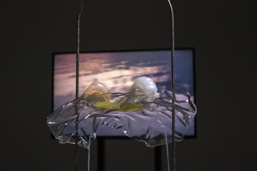 Studio ThinkingHand, Intertidal Synthesis, 2019