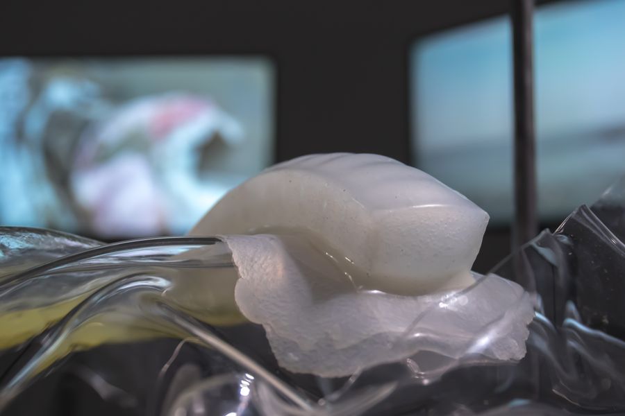 Studio ThinkingHand, Intertidal Synthesis, 2019