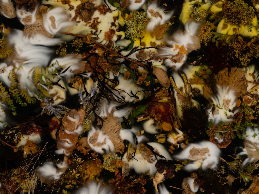 Landscape Portrait #12, Studio ThinkingHand, Photo: David Stjernholm