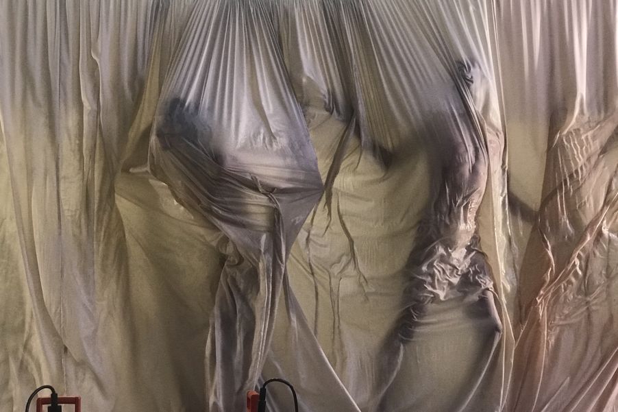 Membrane, 2017