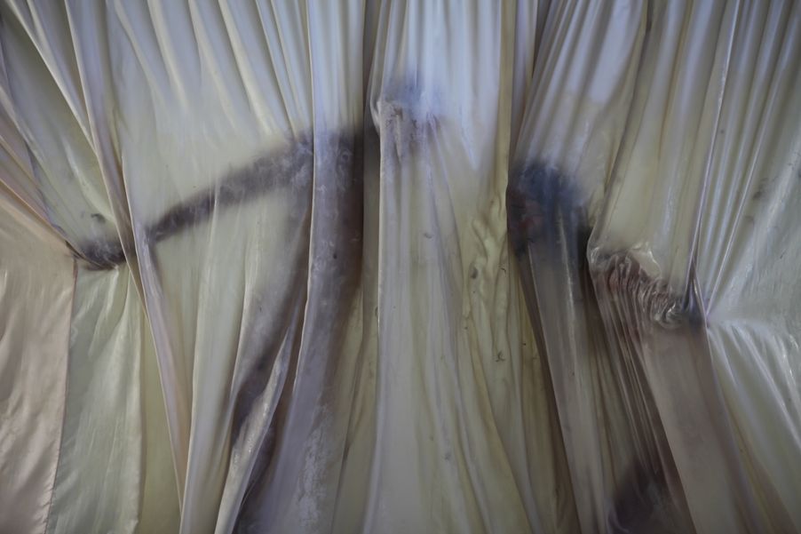 Membrane, 2017