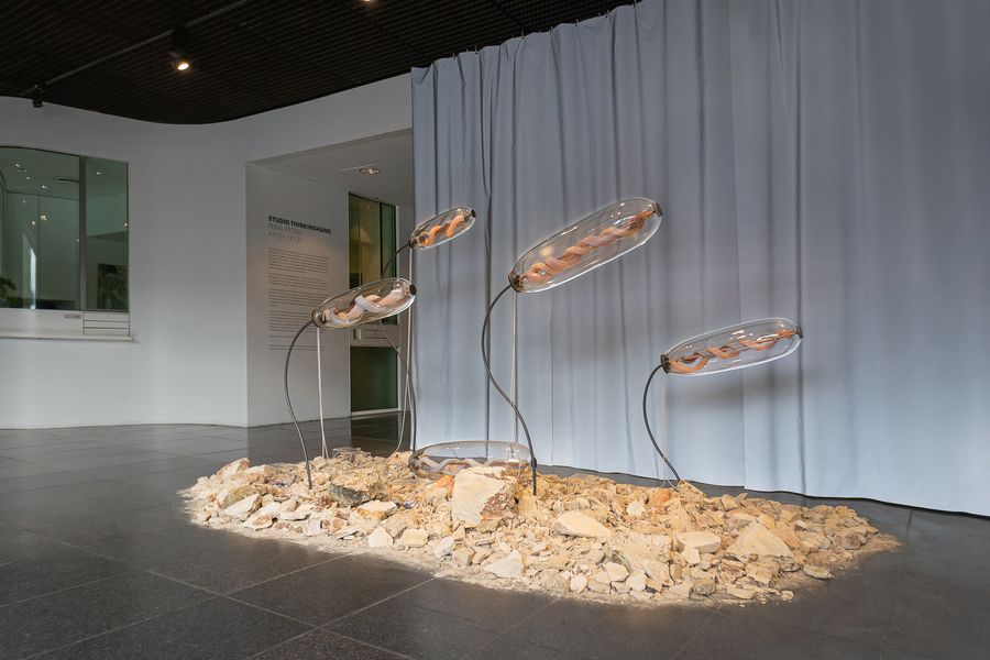 Scala Naturae, Studio ThinkingHand, 2021