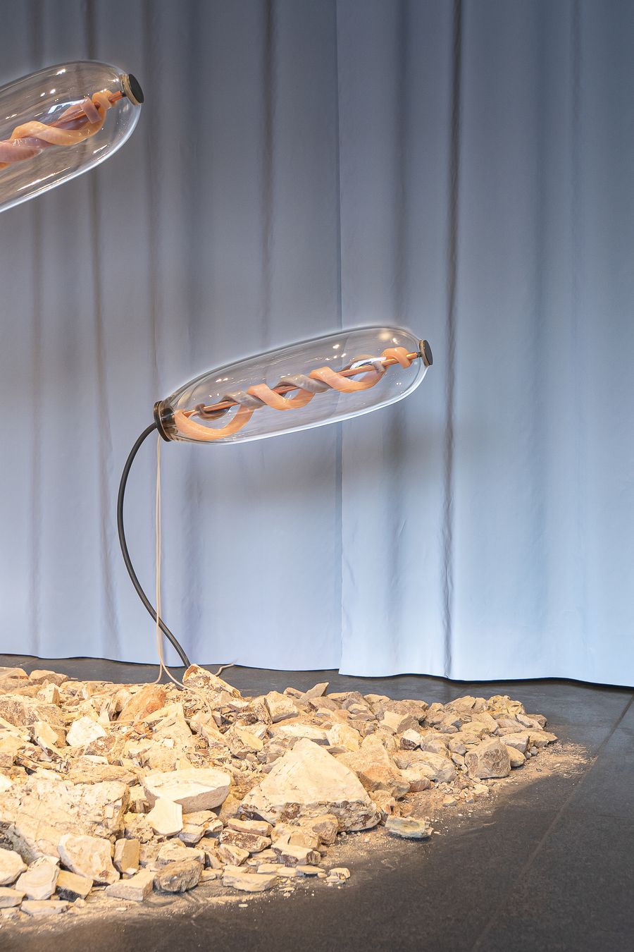 Scala Naturae, Studio ThinkingHand, 2021