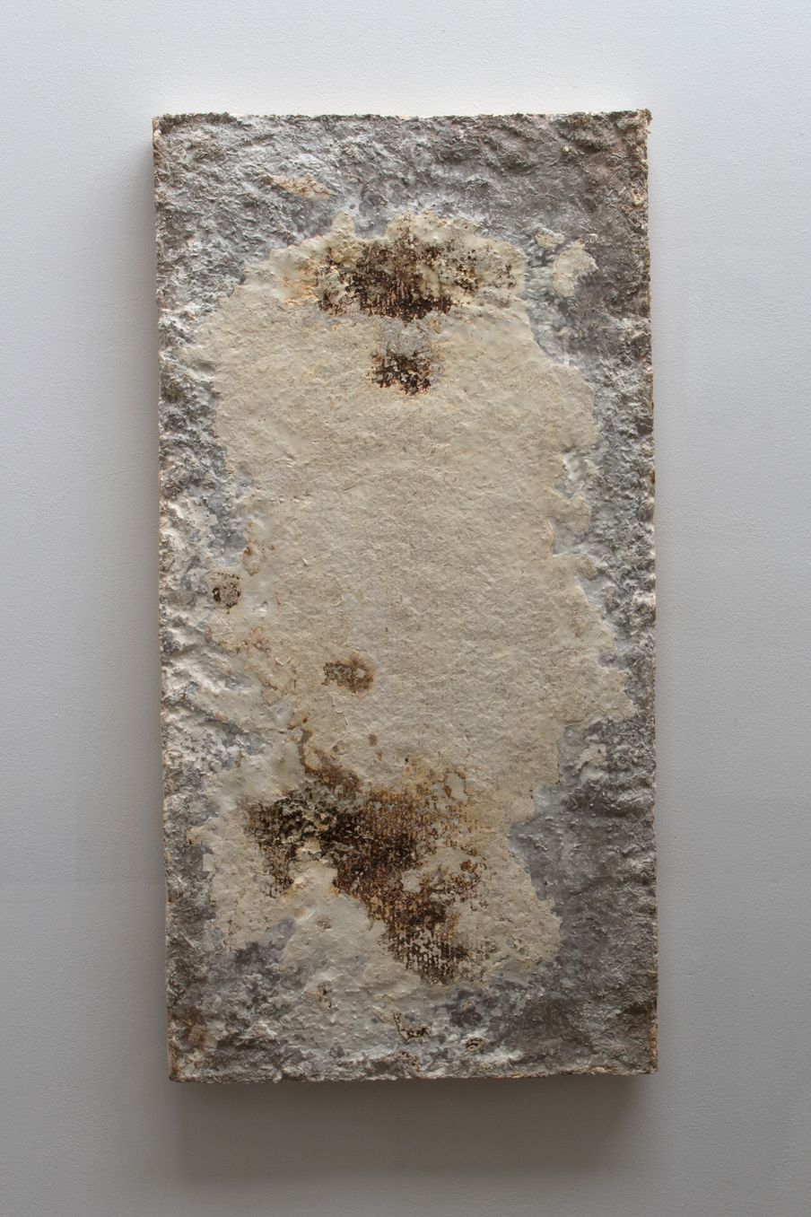 Reishi, 2018