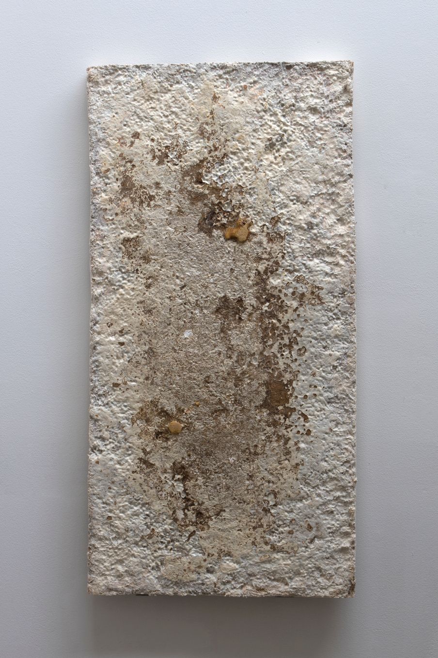 Reishi, 2018