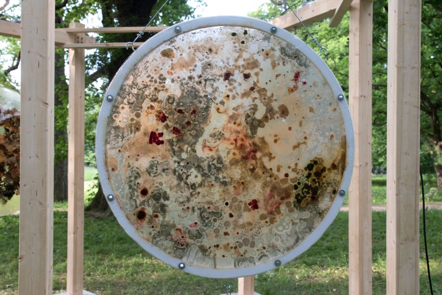 Relationscape, Installation view Bloom Festival 2018.