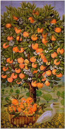 Orangetree with Eigret.