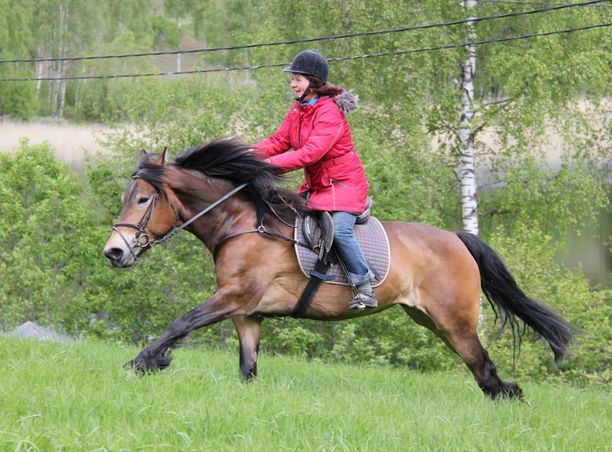 Merete liker å jobbe med hester og eteriske oljer