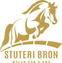 Stuteri Bron