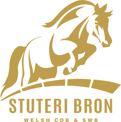 Stuteri Bron