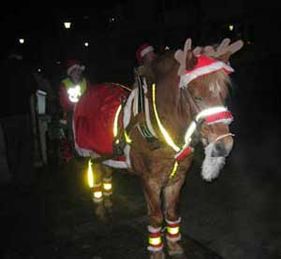 Major som tomte