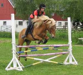 Hanna och Fanér