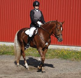 Hanna och Jazz KL på tävling