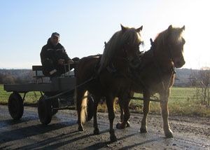 Tvåspann med far och son, Major och Fanér