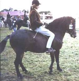 Cribel 160