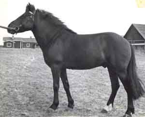 Olle V 129